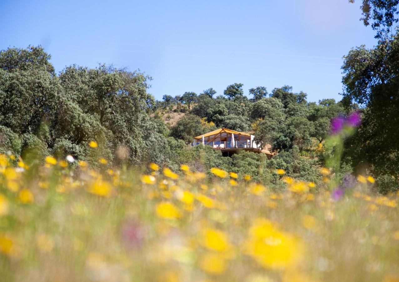 La Dehesa Experiences Hotel Adamuz Eksteriør billede