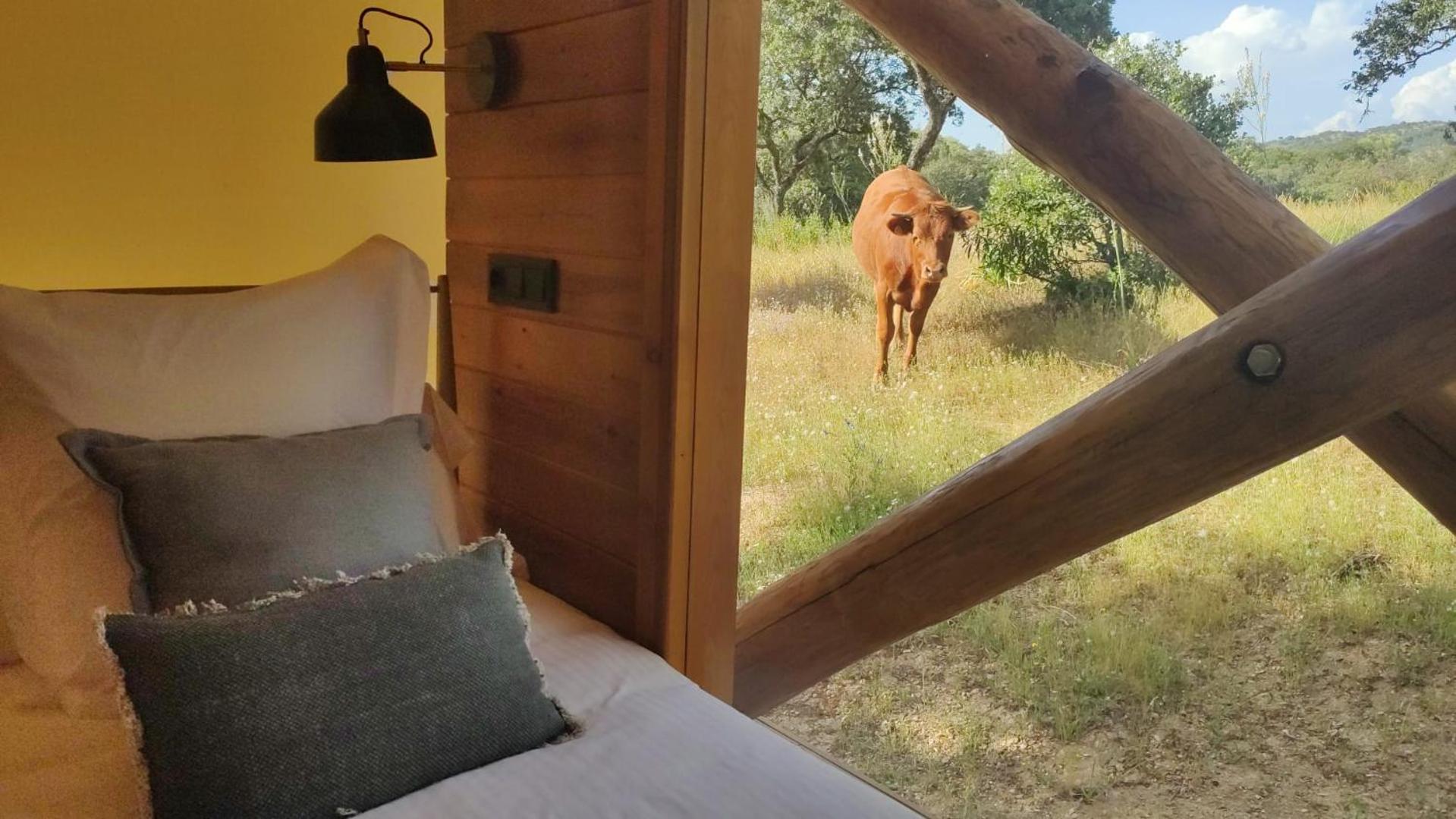 La Dehesa Experiences Hotel Adamuz Værelse billede